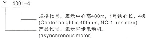 西安泰富西玛Y系列(H355-1000)高压YJTFKK5603-10-630KW三相异步电机型号说明